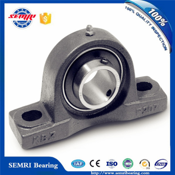 Bloque de almohada teniendo Plummer Block Bearings Housing (UCP308)